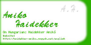 aniko haidekker business card