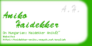 aniko haidekker business card